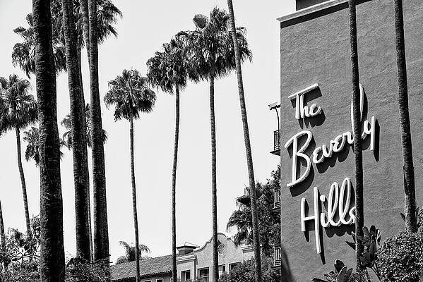 Iconic Beverly Hills Sign with Palms Wall Art