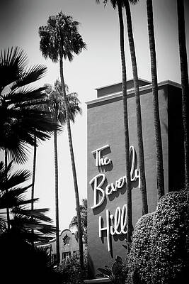 Beverly Hills Sign with Palm Trees Wall Art