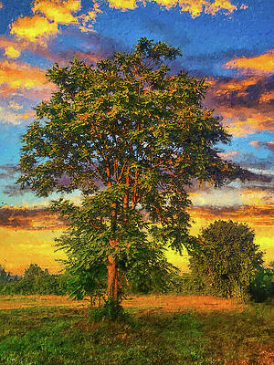 Vibrant Wall Art featuring the digital art Black Locust Tree And A Blue Sunset Sky With Clouds - Digital Painting by Nicko Prints
