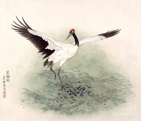 China Painting - Black-necked Crane by Zhan Gengxi