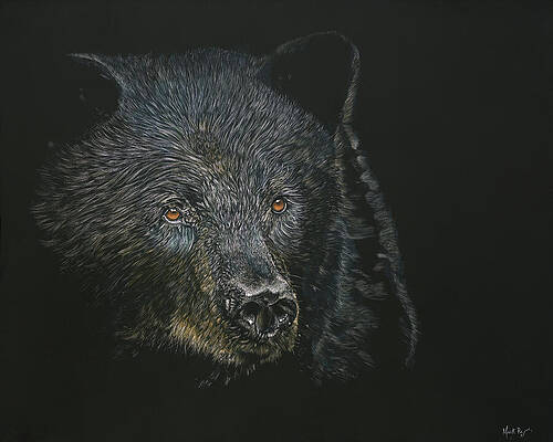Black Shadows Print