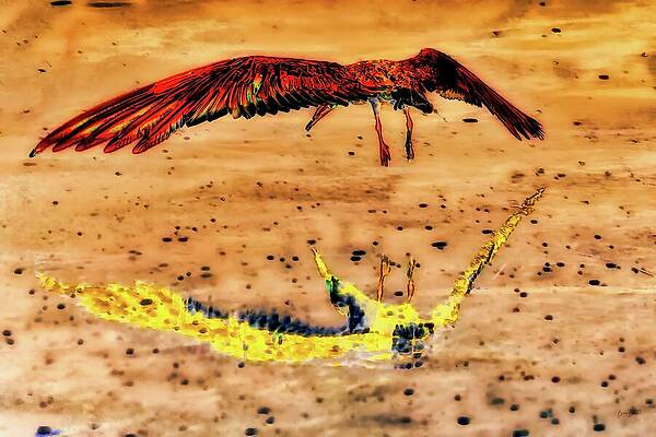 Colorful Wall Art featuring the digital art Black Skimmer Take-off by Bruce Block