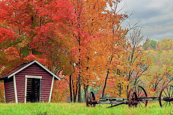 Barn Wall Art featuring the photograph Blazing Colors by Jim Carlen