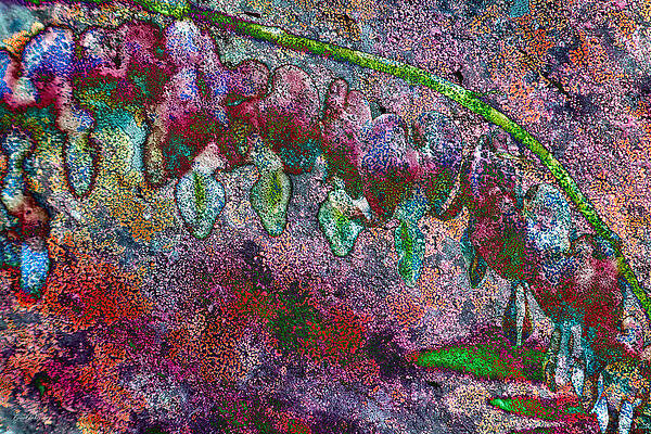 Wall Art featuring the digital art Bleeding Hearts - Lichen Texture by Bruce Block