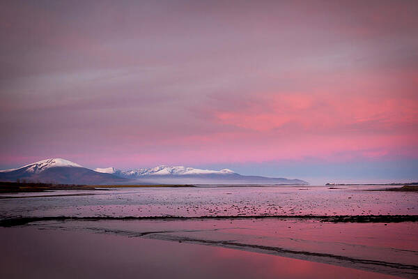 Landscape Photograph - Blennervill Pinks by Mark Callanan