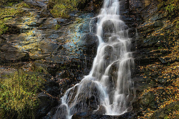 Nature Wall Art featuring the photograph Blissful Cascade by Dodie Ross