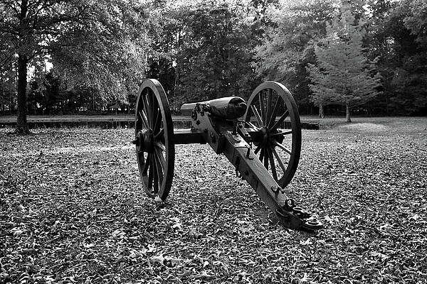 Confederate Wall Art featuring the photograph Bloody Pond's Sentry by American Landscapes