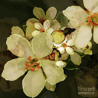 Fabric Wall Art featuring the digital art Blossom Studies THREE by BFA Prints