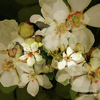 Fabric Wall Art featuring the digital art Blossom Studies TWO by BFA Prints