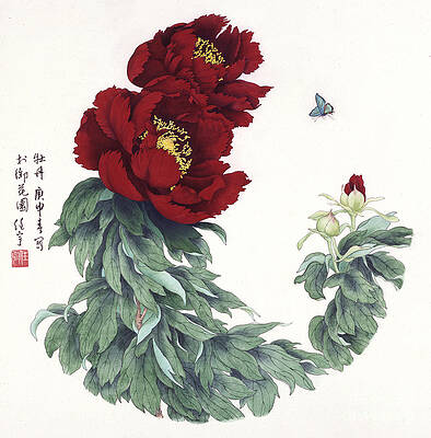 Garden Painting - Blossoms Of China - Peony by Ren Yu