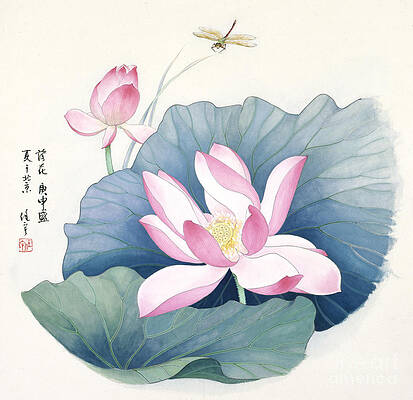 Garden Painting - Blossoms Of China - Lotus by Ren Yu