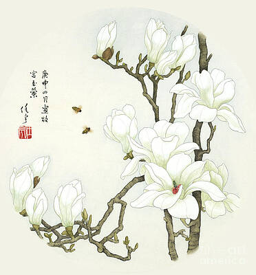 Garden Painting - Blossoms Of China - Yulan Magnolia by Ren Yu
