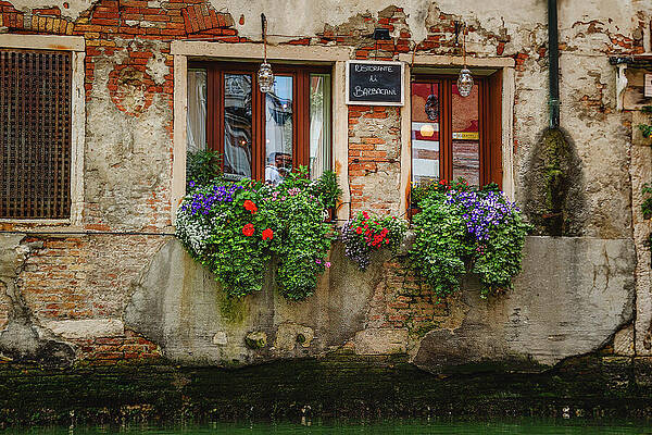 Vibrant Photograph - Blossoms On Brick by Jon Snyder