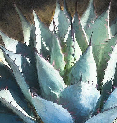Wall Art featuring the photograph Blue Agave Abstract by Rebecca Herranen