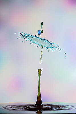 Abstract Wall Art featuring the photograph Blue Canopy by Sue Leonard