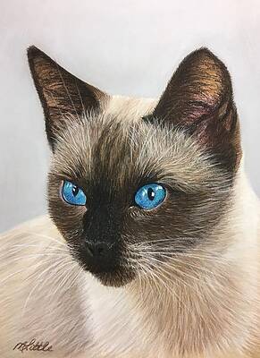 Cat Wall Art featuring the pastel Blue Eyes by Marlene Little