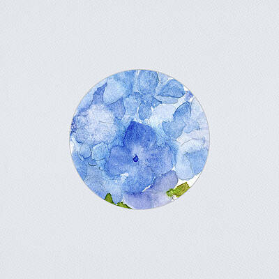 Flower Painting - Blue Hydrangea Flower On Grey by Elizabeth Reich
