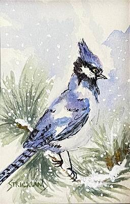 Nature Painting - Blue Jay In The Snow by Judy Strickland