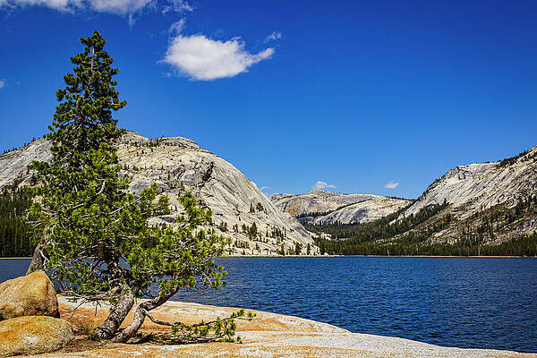 Mountain Photograph - Blue Lake by David Fountain