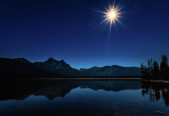 Nature Photograph - Blue Moon by Tim Lyden