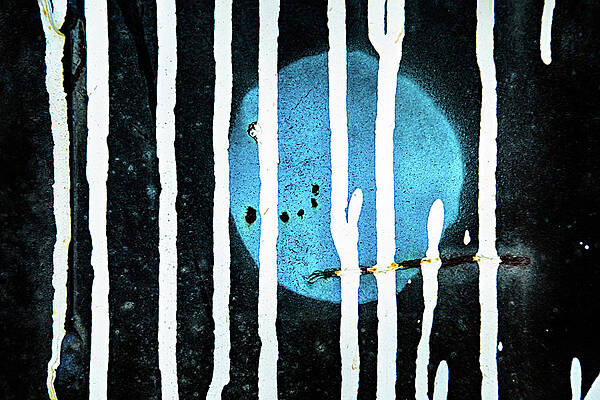 Blue Photograph - Blue Moon by Ursula Abresch