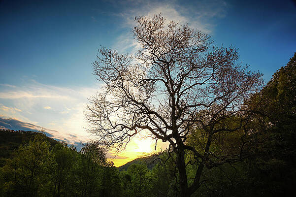 Wall Art featuring the photograph Blue Ridge Sunset by Steven Nelson