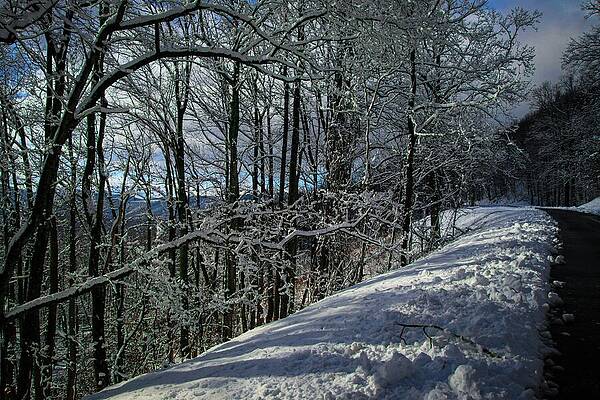 Wall Art featuring the photograph Blue Skies And Shadows by Deb Beausoleil