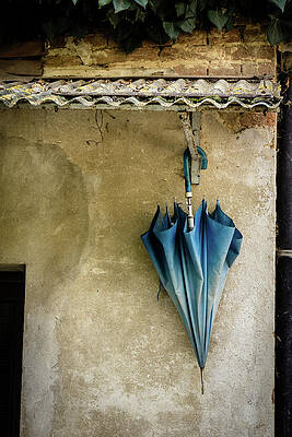 Photograph - Blue Umbrella by Craig A Walker