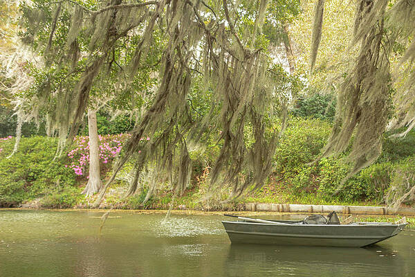 Serene Wall Art featuring the photograph Boat Afloat by Cindy Robinson