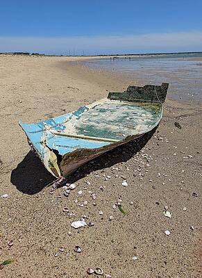 Wall Art featuring the painting Boat Revealed by Annalisa Rivera-Franz