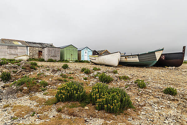 Harbor Boats on Rocky Shore Wall Art