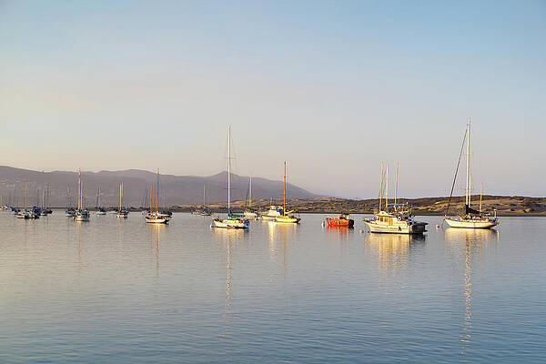 Wall Art featuring the photograph Boats In The Bay by Gina Cinardo