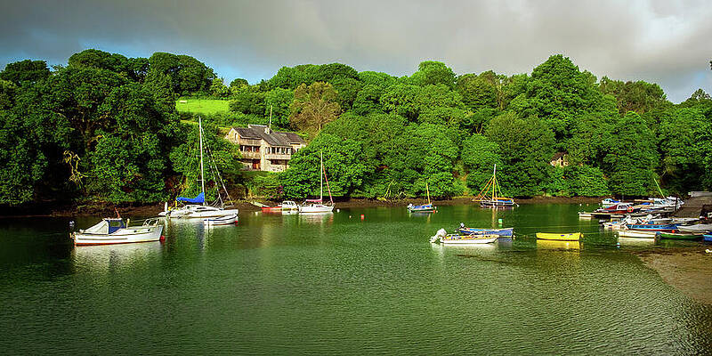 Serene Boats in a Lush Harbor Wall Art