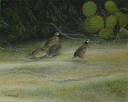 Wall Art featuring the painting Bobwhites by Eleazar Herrera