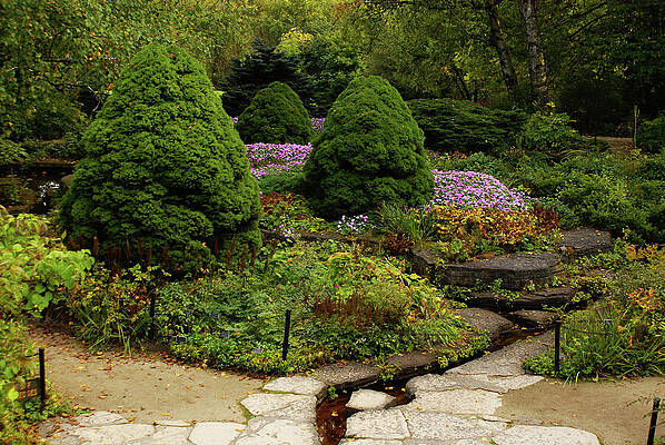 Flower Photograph - Boerner Botanical Gardens by Deb Beausoleil