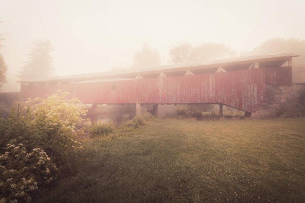 Light Wall Art featuring the photograph Bogert's Covered Bridge In The Golden Mist by Jason Fink