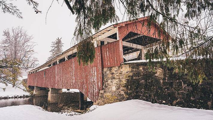 Wall Art featuring the photograph Bogert Covered Bridge Winter Under The Pines - Natural Tones by Jason Fink