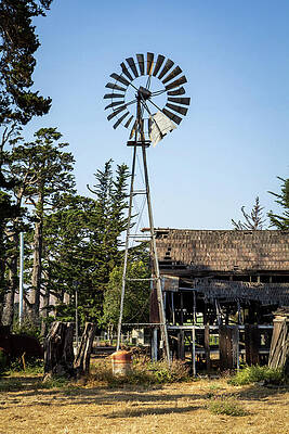 Wall Art featuring the photograph Bonetti Barn by Gina Cinardo