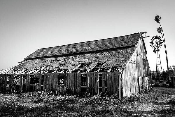 Wall Art featuring the photograph Bonetti Farm by Gina Cinardo