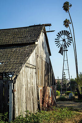 Wall Art featuring the photograph Bonetti Ranch by Gina Cinardo