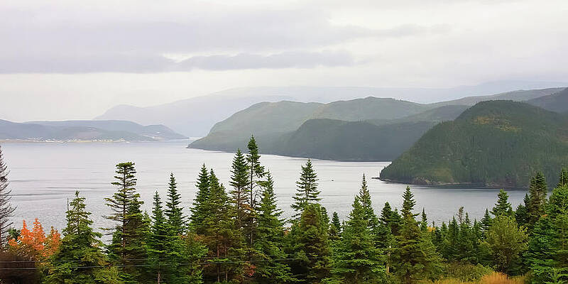Wall Art featuring the photograph Bonne Bay Newfoundland, Panoramic View by Tatiana Travelways