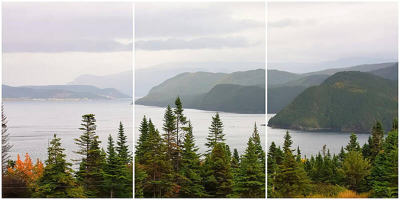 Serene Photograph - Bonne Bay Newfoundland, Triptych by Tatiana Travelways