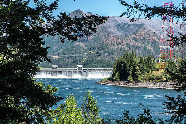 Oregon Wall Art featuring the photograph Bonneville Viewed Between Trees by Tom Cochran