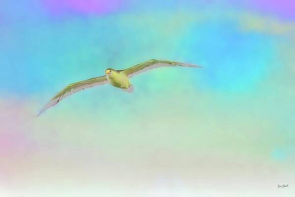 Seagull in a Vibrant Sky Wall Art