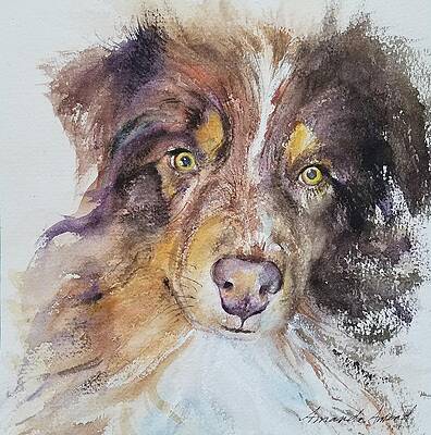 Animal Painting - Boots by Amanda Amend