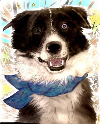 Mixed Media - Sweet Border Collie by Pamela Calhoun