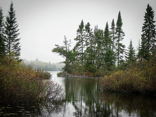 Bordo's Launch by Mark Triplett