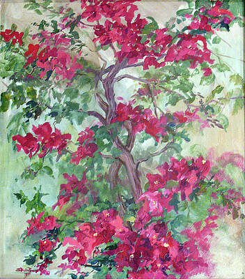 Wall Art featuring the painting Bougainvillea Dreams by Sheila Parsons