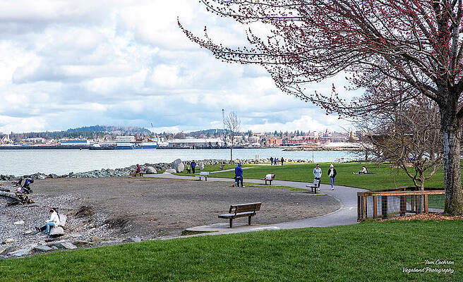 Spring Photograph - Boulevard Park Almost Spring by Tom Cochran