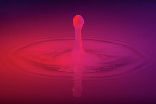 Water Photograph - Bouncing Droplet by Matt Halvorson
